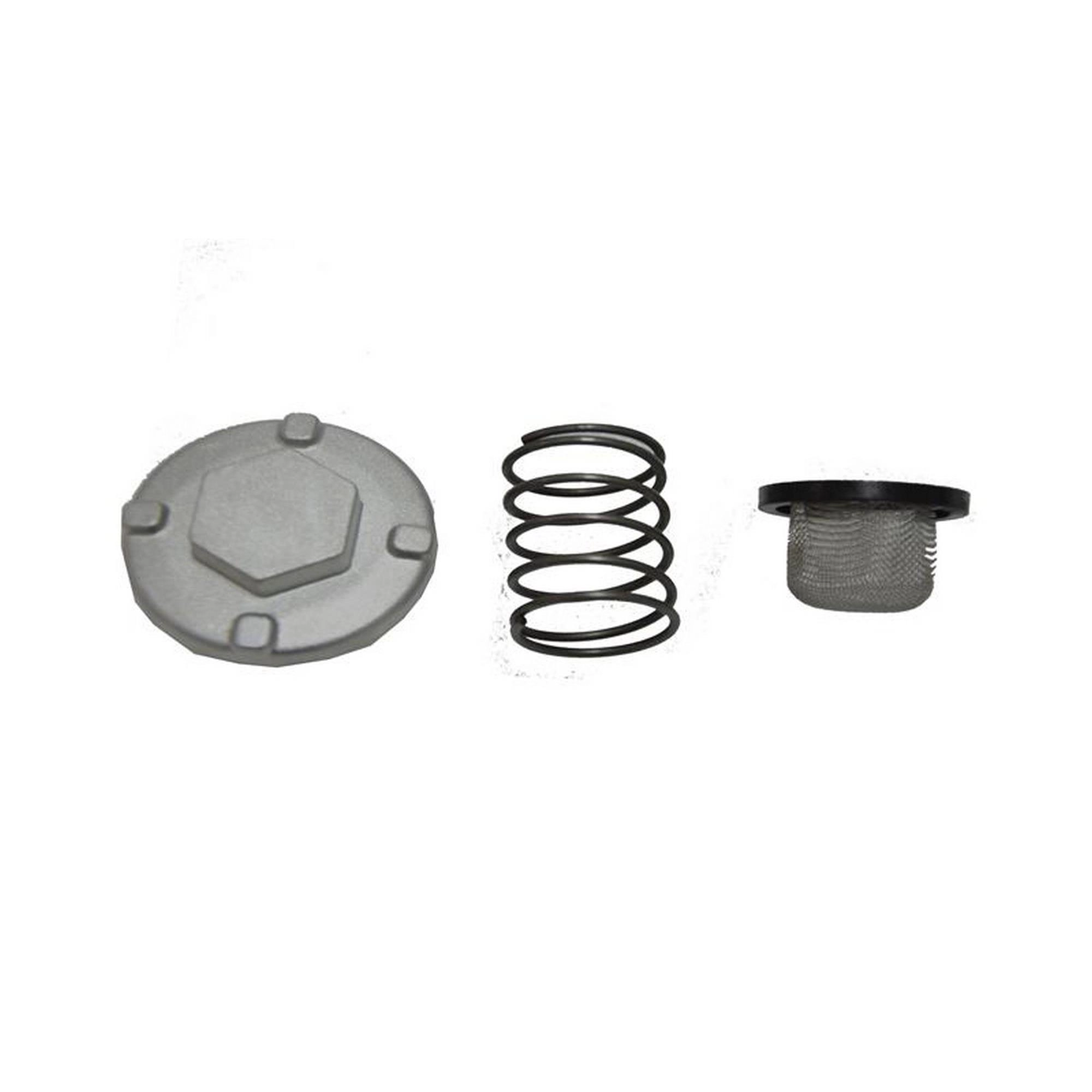 RKS RZ 125 YAĞ SÜZGECİ VE KAPAĞI TAKIM [RZ150 - RZ125-X - RZ150-X] #RK 60765